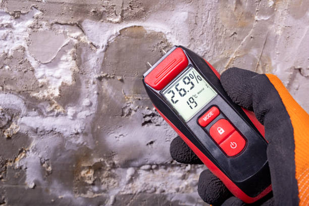 Best Crawl Space Mold Removal  in East Lexington, VA