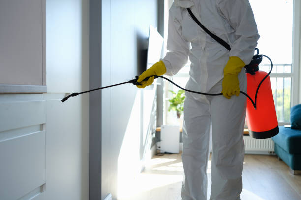 Best Mold Removal Near Me  in East Lexington, VA