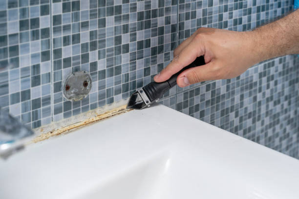 Best Mold Damage Repair  in East Lexington, VA