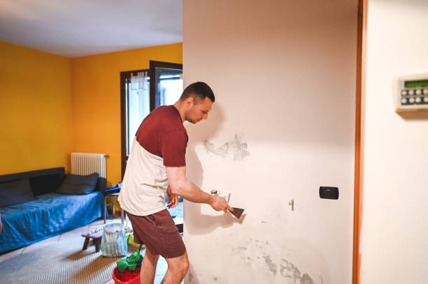 Mold Removal Process in East Lexington, VA