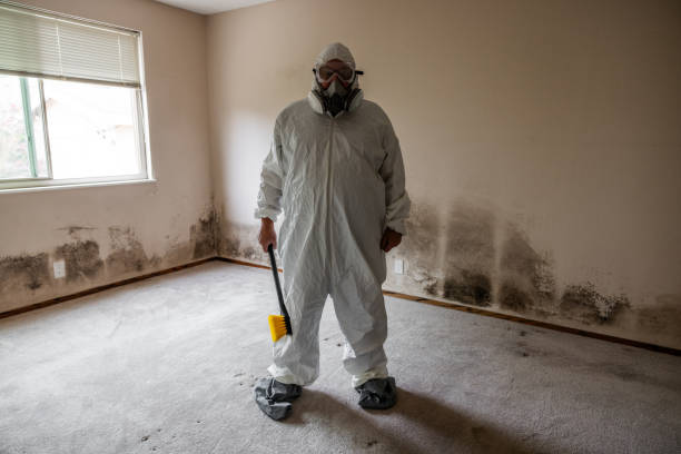  East Lexington, VA Mold Removal Pros
